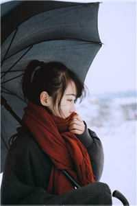 回涯 作者：退戈